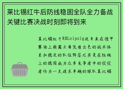 莱比锡红牛后防线稳固全队全力备战关键比赛决战时刻即将到来